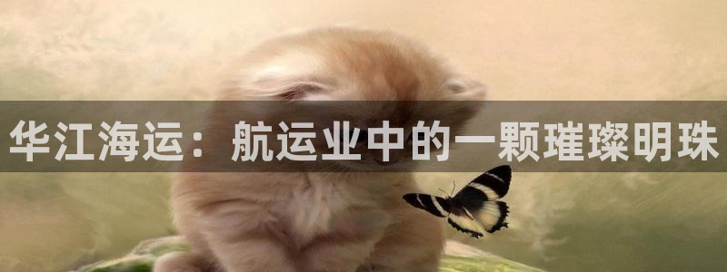 公海赌赌船官网真的吗