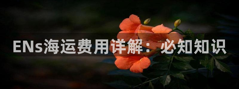欢迎来到公海710线路是多少