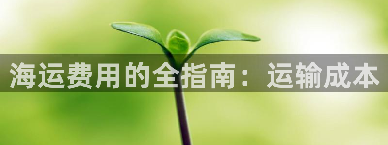 欢迎你来到公海 赌船