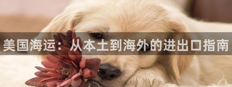 公海赌赌船官网真的