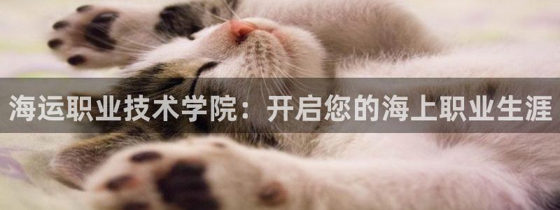 公海赌赌船
