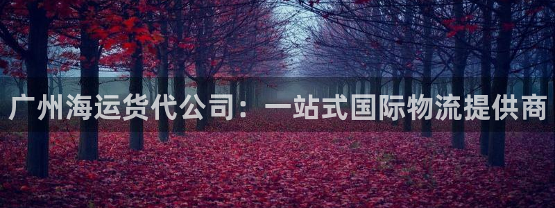 欢迎您到公海赌来