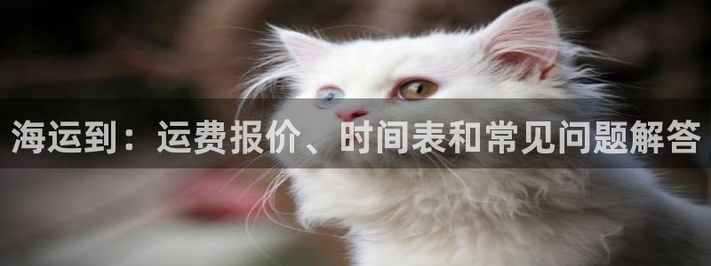 欢迎公海赌710