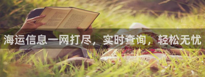 欢迎来到海牛星简谱