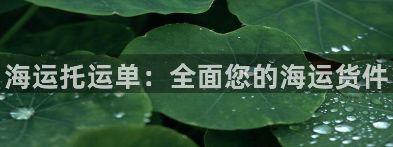 公海赌钱犯法吗
