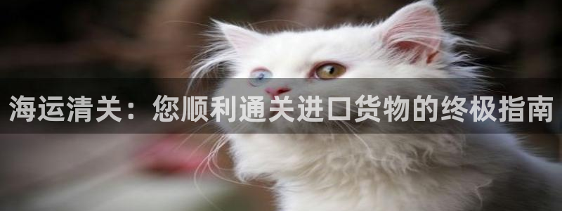 欢迎你来到公海欢迎你来到赌船701