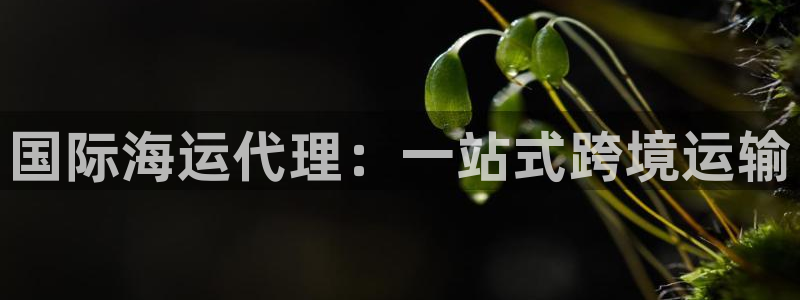公海赌博怎么处理