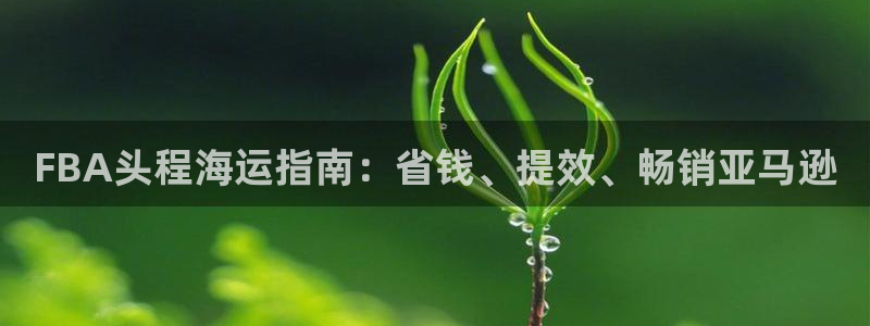 公海赌赌船官网jc710 下载