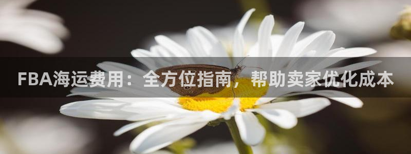 在公海赌博不违法吗