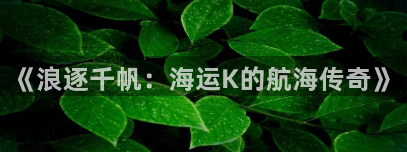 欢迎你来到公海 赌船