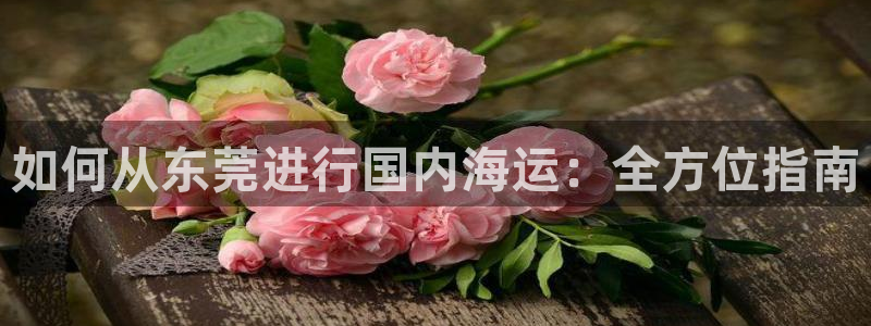 公海赌钱犯法吗