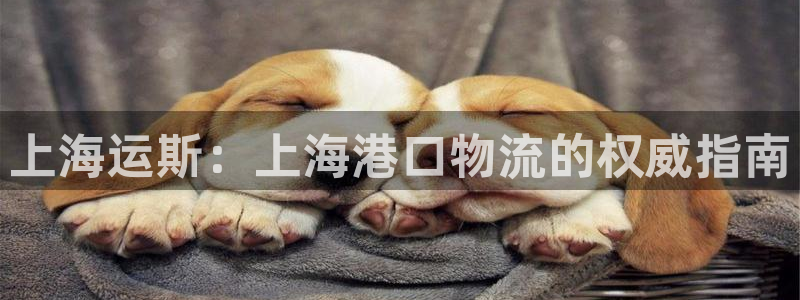公海赌赌船官网jc7