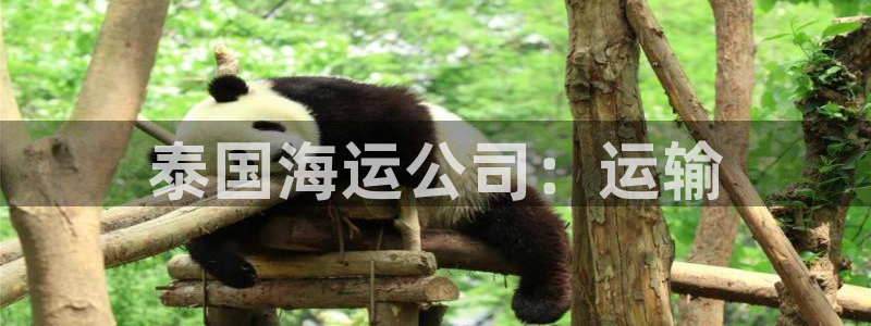 公海赌赌船官网真的吗