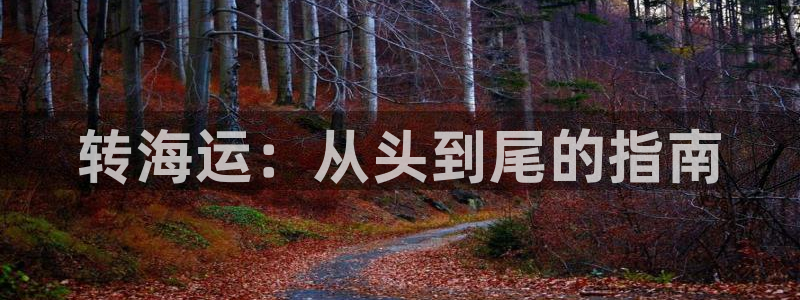 公海赌赌船快速充值