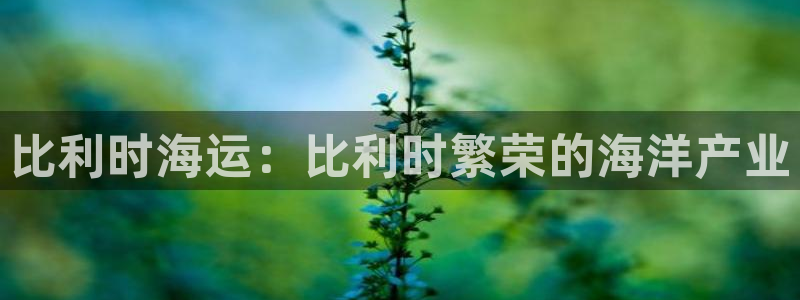欢迎来到公海7108