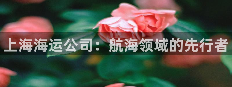 公海赌钱