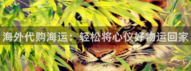 公海赌钱违法吗
