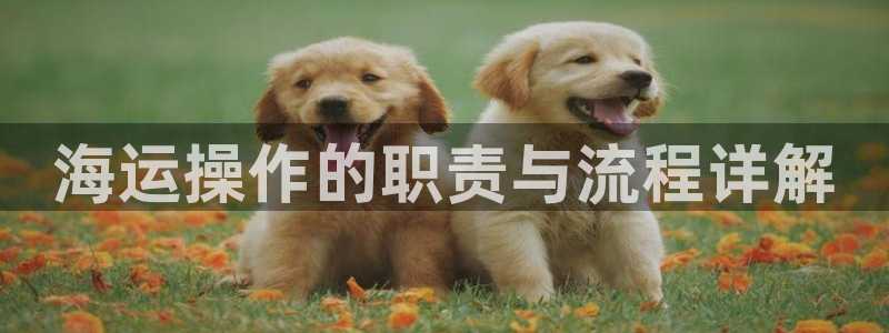 公海赌赌船官网710忘记账号了