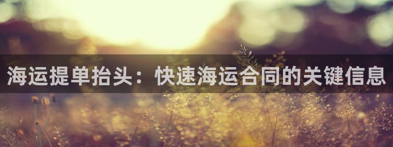 公海赌博犯法吗