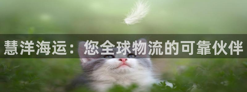 欢迎你来到 公主的海岛