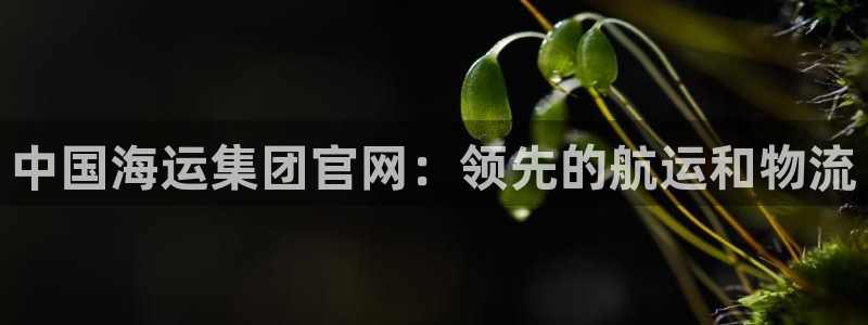 欢迎来到公海7108