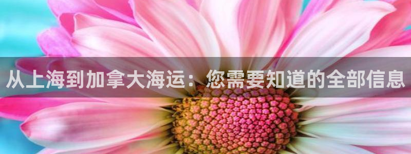 公海赌赌船官网