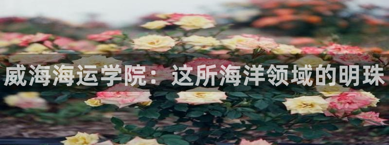 公海赌钱