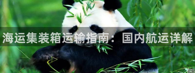 公海赌赌船维护多久