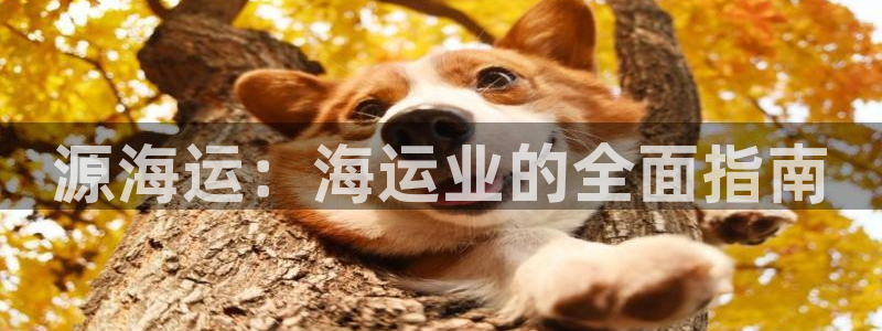 公海赌博为什么没人管