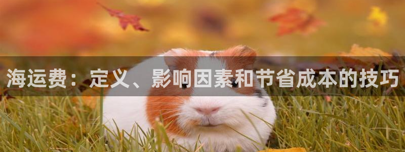 公海赌博犯法吗