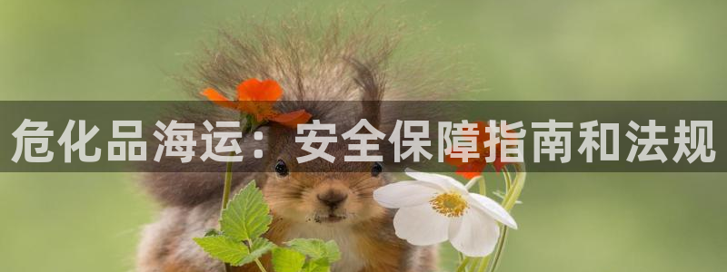 欢迎登船