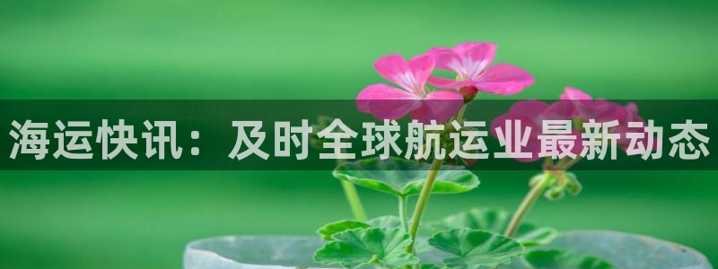 去公海赌博