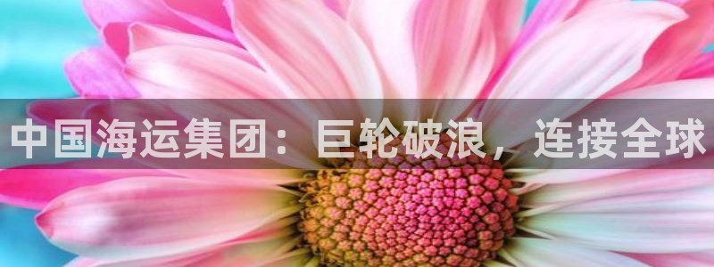 公海赌赌船手机下载