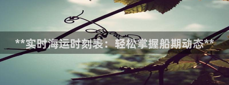 欢迎你来到公海欢迎你来到赌船