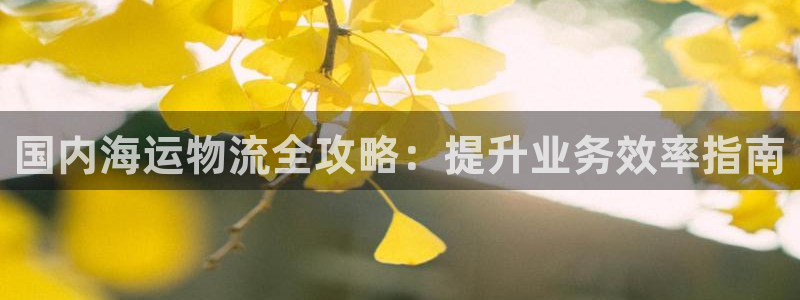 欢迎来到公海555000