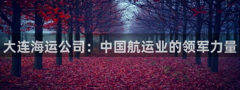 欢迎登船