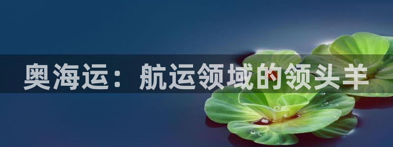欢迎来到公赌船