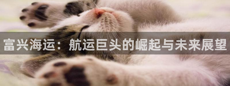 公海赌博怎么处理