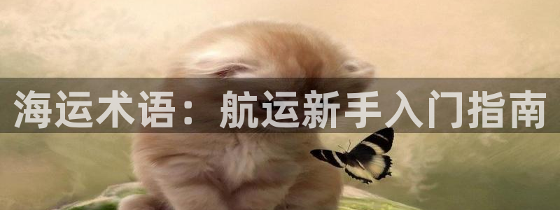 公海赌赌船官网jc710