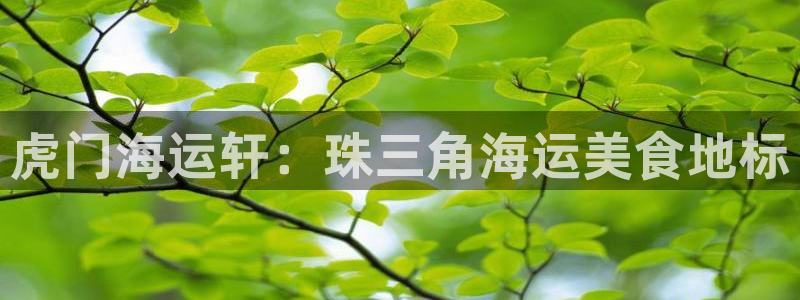 公海赌赌船系统维护要多久