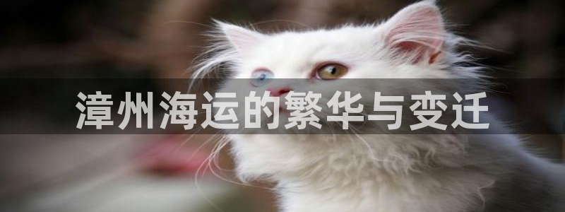 公海船赌网站是多少