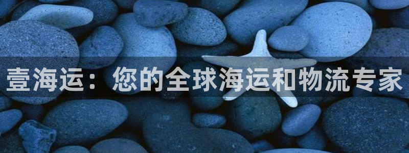 公海赌船官网下载