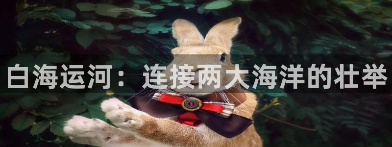 公海赌赌船官网可以做代理吗