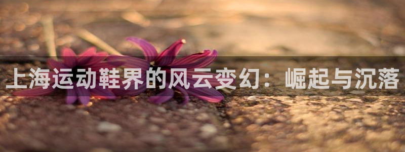 公海赌船官方