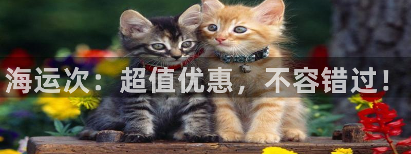 欢迎来到公海欢迎来到赌船710