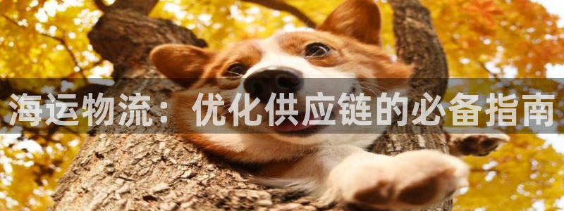 公海赌博是什么意思