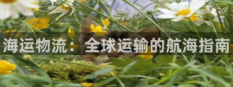 公海赌船网址710