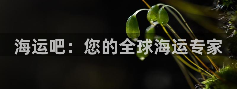 欢迎来公海欢迎来赌船欢迎