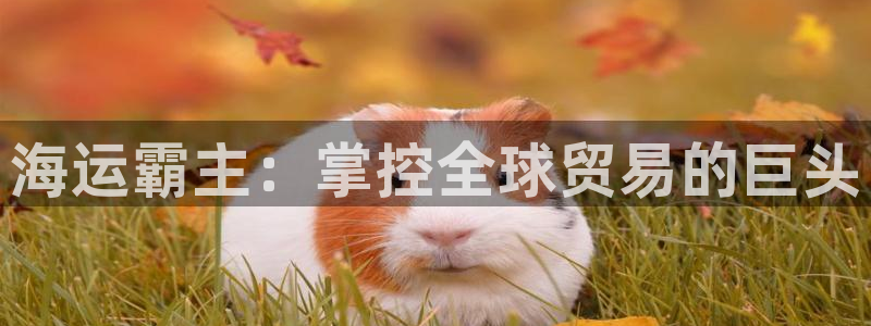 欢迎来到g港
