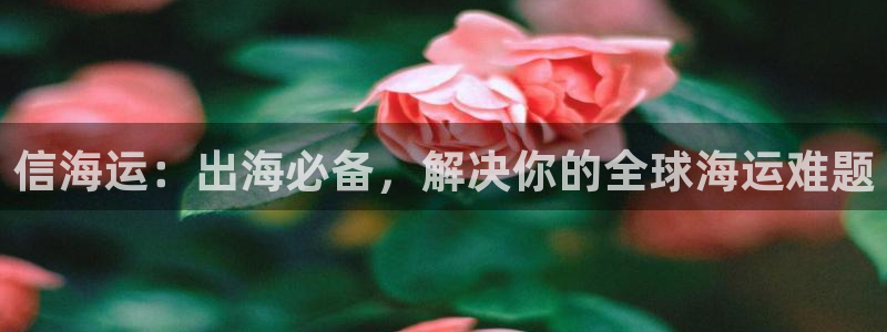 欢迎登船